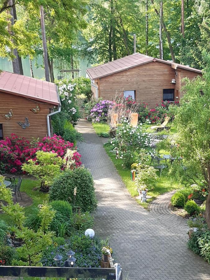 Monikas Gaestehaeuser Seeblick Himmelpfort Exterior photo